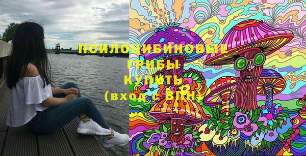 первитин Горнозаводск