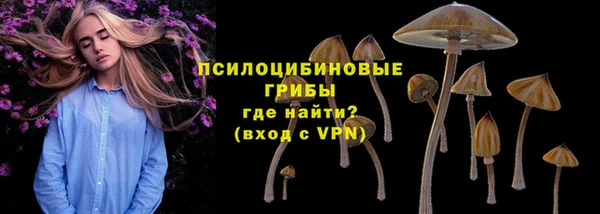 соль курить ск Вяземский
